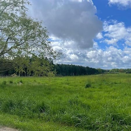 Gite Le Village Des Champs Soings-en-Sologne Kültér fotó