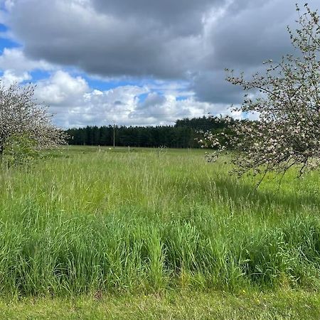 Gite Le Village Des Champs Soings-en-Sologne Kültér fotó