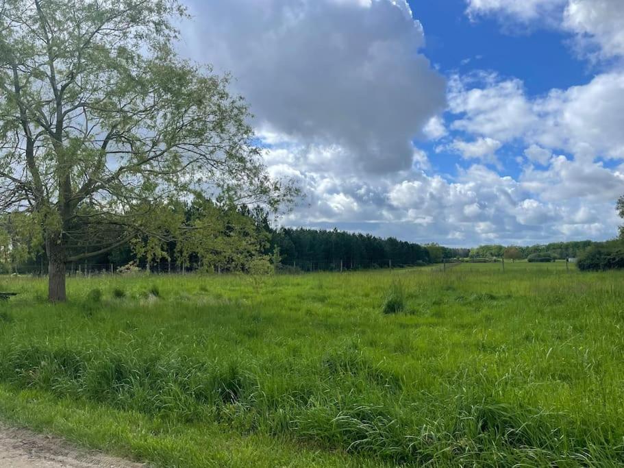Gite Le Village Des Champs Soings-en-Sologne Kültér fotó