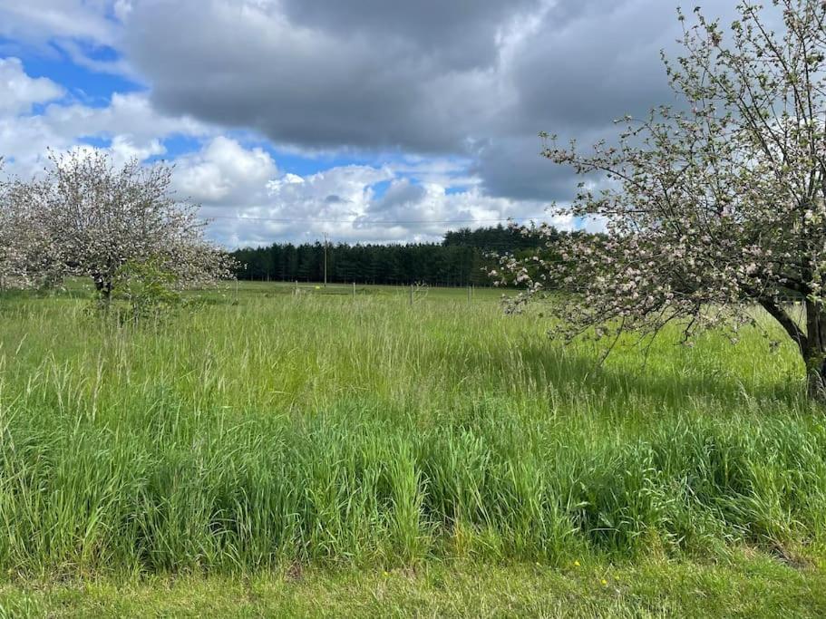 Gite Le Village Des Champs Soings-en-Sologne Kültér fotó